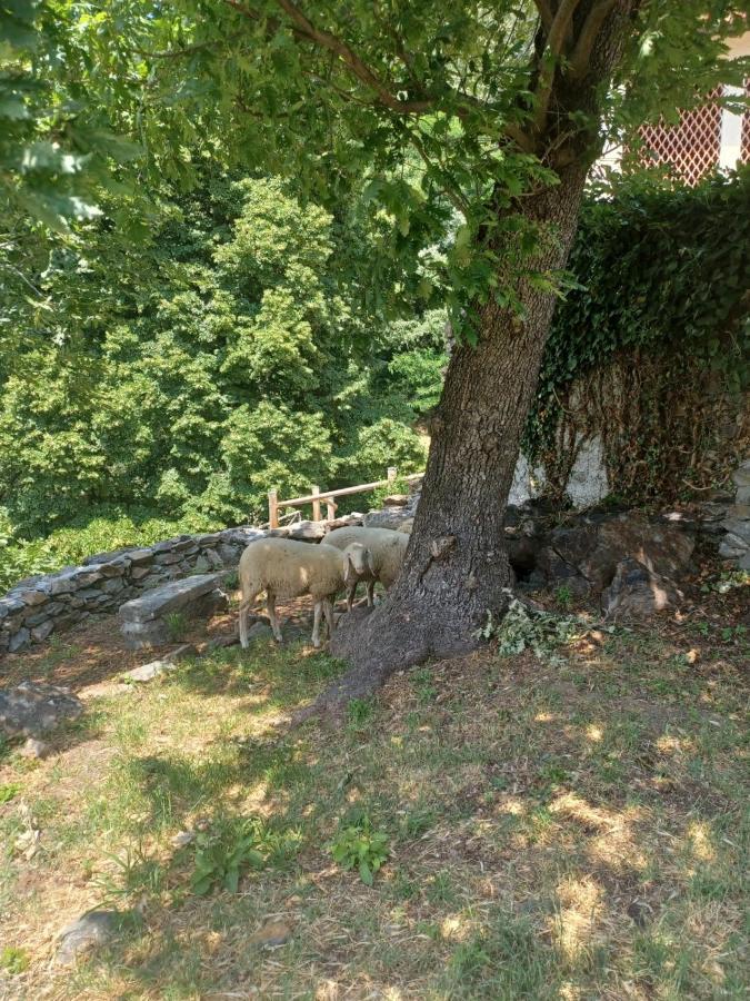 Open Cascina Villa Colico Dış mekan fotoğraf